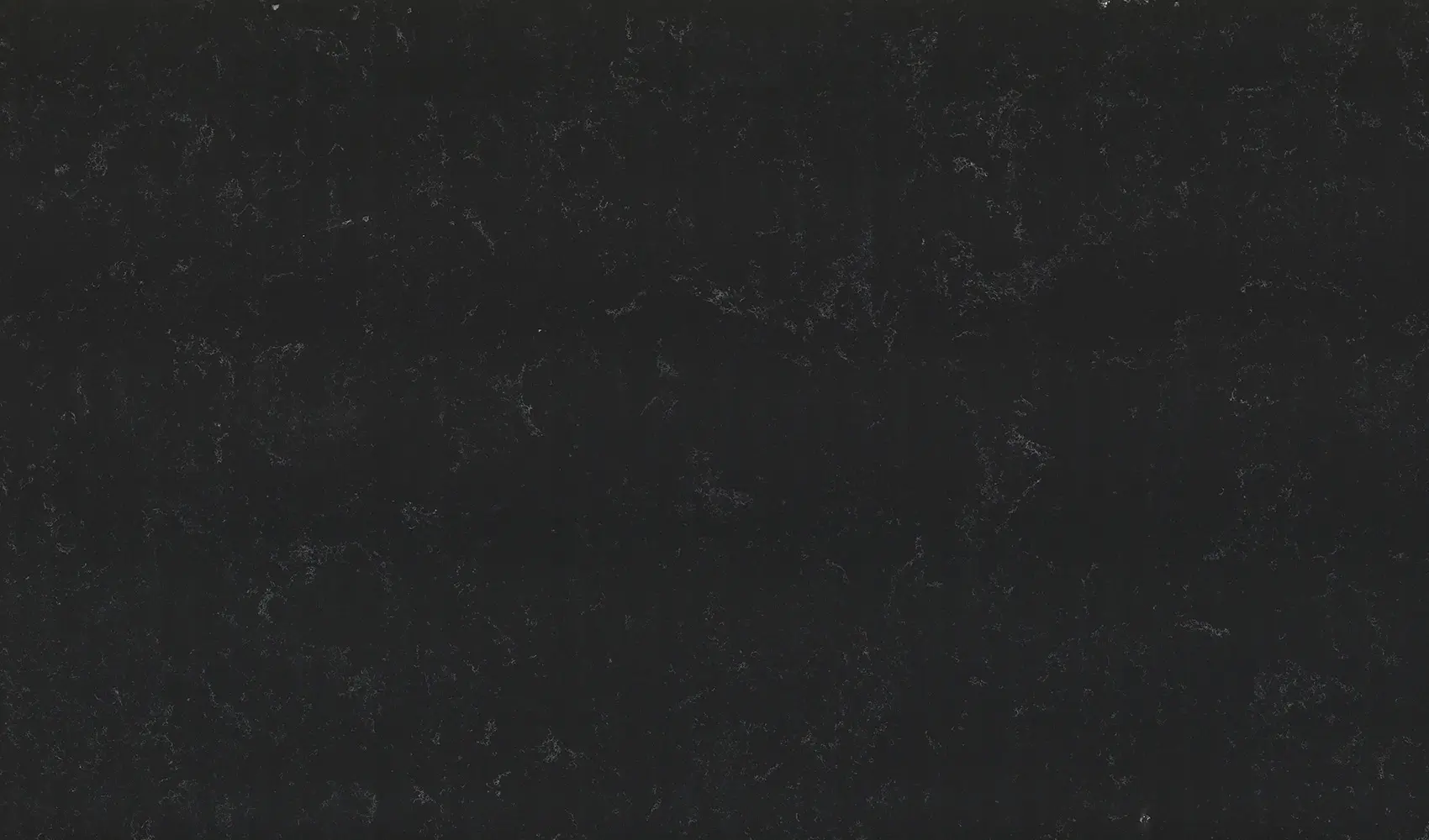 Black Perlino Eqpm 028
