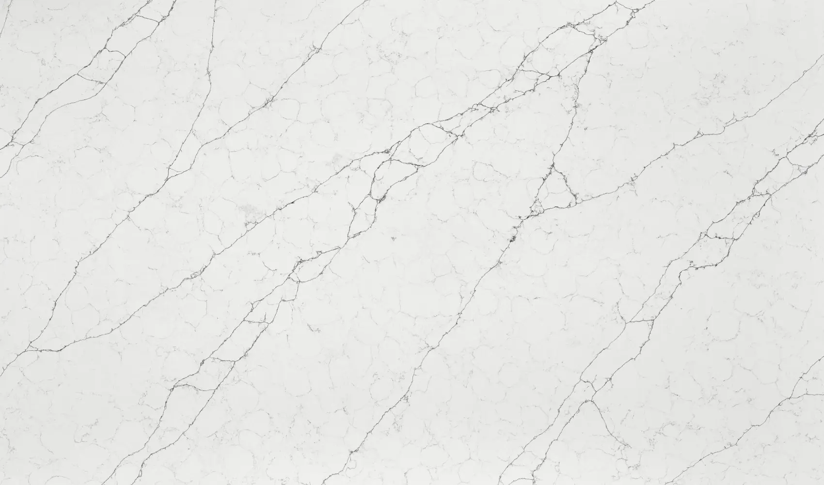 Perlino Bianco Eqhm 001