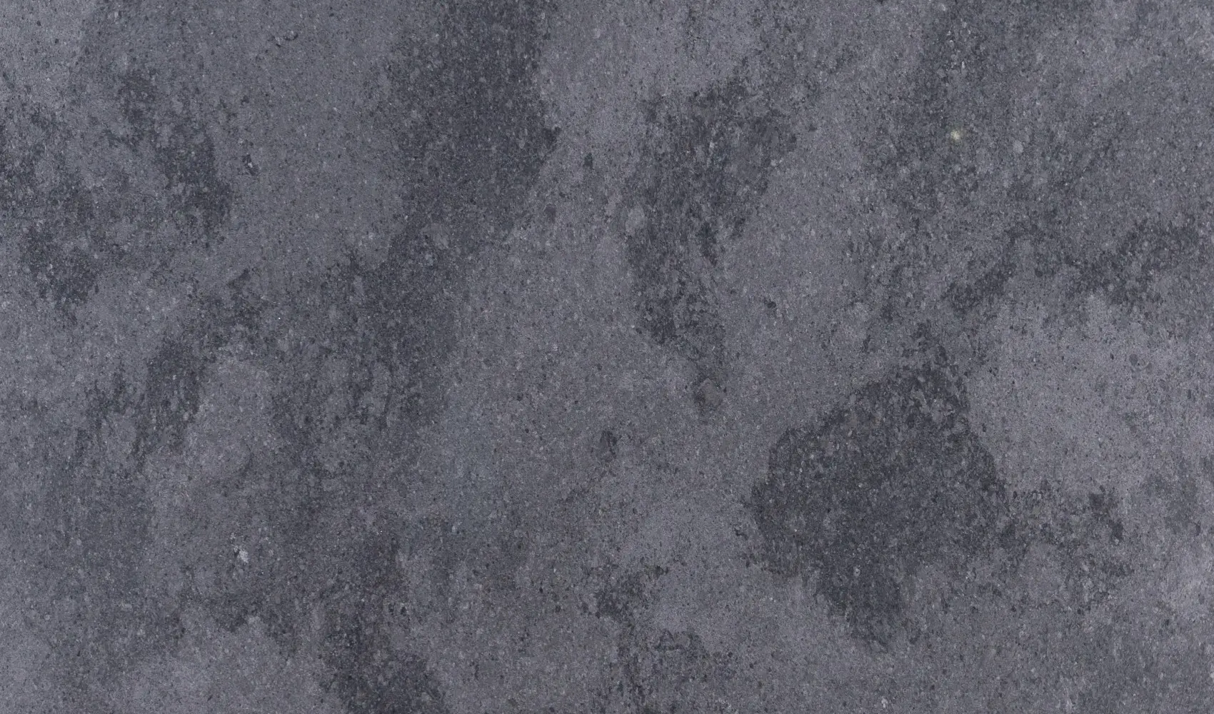 Sesame Grey Eqhg 004