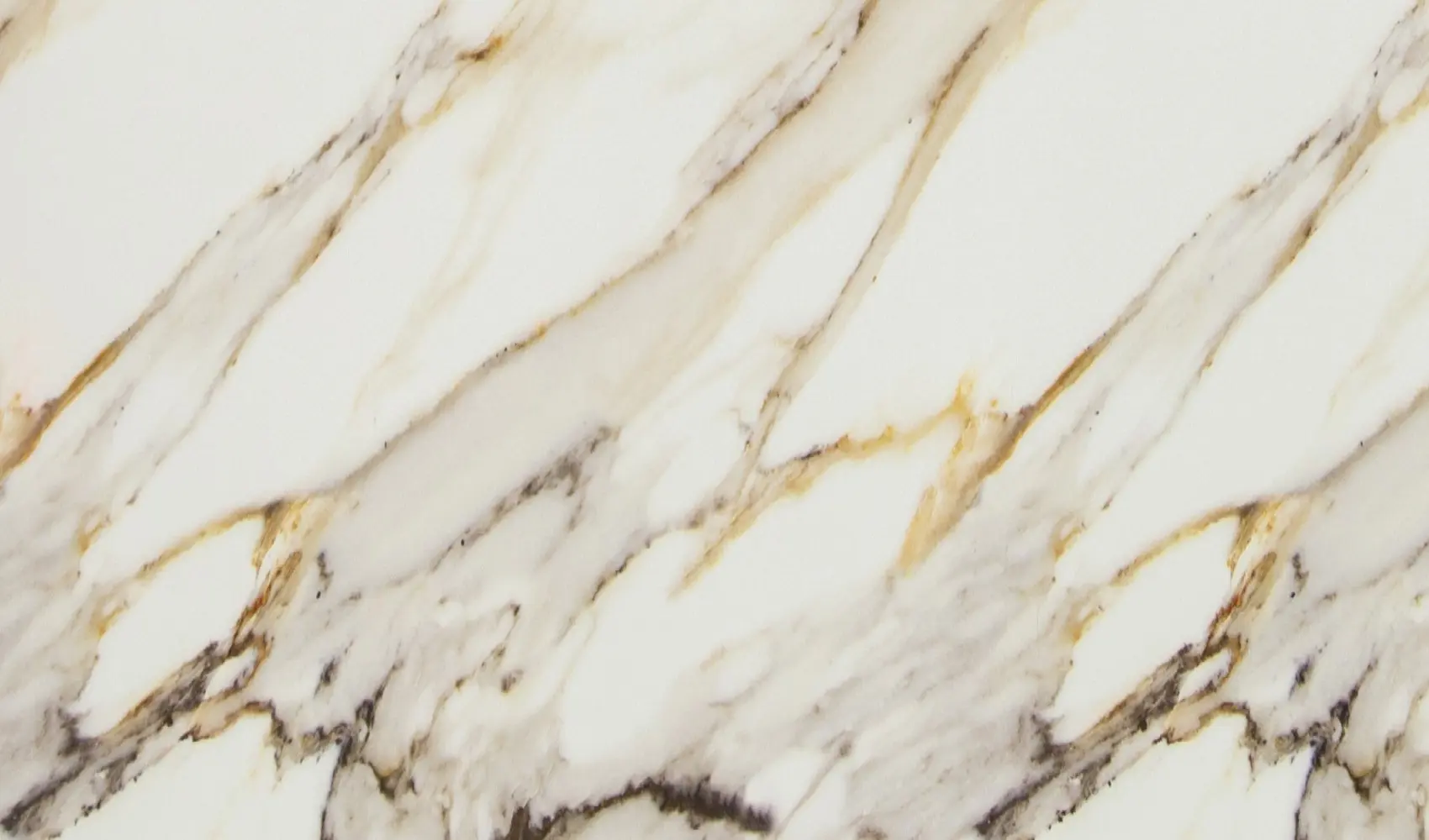 Calacatta Oro Eqbm 030